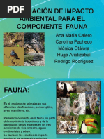 Fauna