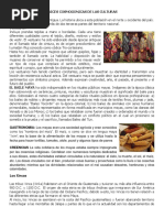 Decripcion Cosmogonicas de Las Culturas de Guatemala