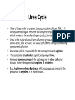 Urea Cycle Urea Cycle