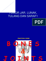 Tumor Jar. Lunak, Tulang Dan Saraf1