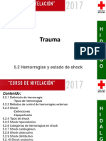 5.2 - Hemorragias y Estado de Shock