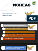 Pancreas %5bAutoguardado%5d