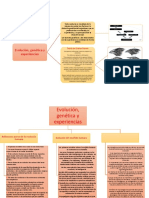 Evolución, Genética y Experiencias