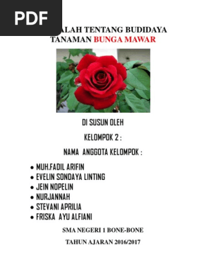 Makalah Tentang Budidaya Tanaman Bunga Mawar Docx