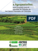 Amézquita, E., Rao, I. M., Rivera, M., & Corrales, I. I. (2013) - Sistemas Agropastoriles PDF