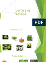 Plantas e Planetas