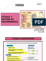 Bio Gen  Teoria 6  2017  Sist endomembranas-1.pdf