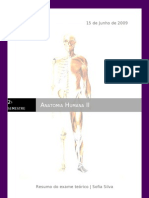 Resumo para Exame Teórico de Anatomia II