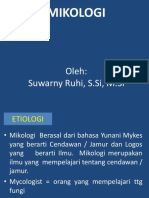 MIKOLOGI SEKILAS