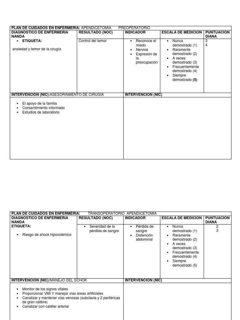 Plan de Cuidados en Enfermería | PDF | Ciencias de la Salud ...