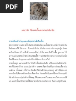 Download   by Cherry Pk SN37029621 doc pdf