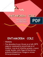 Entamoeba Coli