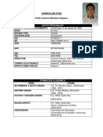 Curriculum Vitae Model