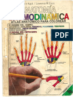 233109071-Anatomia-Cromodinamica.pdf