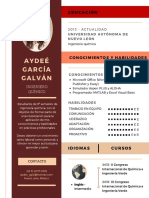 Curriculum Vitae PDF