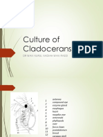 Culture of Cladocerans: Moina as a Live Feed for Fish