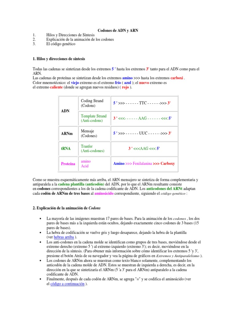 Guía de Codones y Síntesis Genética | PDF | Adn | Rna