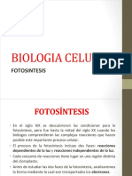 Biologia Celular Fotosintesis