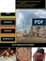 Biomassa Briquete WoodPellets -2015.pdf