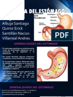 Fisiologia Del Estomago