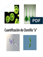 4_CLOROFILA.pdf