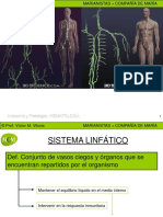 Sistema Linfatico