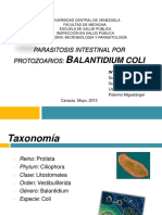 Balantidium Coli