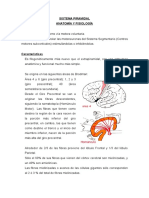 Sindrome-Piramidal-y-Extrapiramidal.pdf