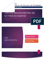 vasdescendentes-150906173727-lva1-app6891.pptx