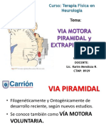 Via-Motora-Piramidal-y-Extrapiramidal-PDF.pdf