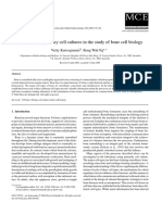 Cell Lines and Primary Cell Cultures in The Study of Bone Cell Biology