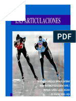 Articulaciones.pdf