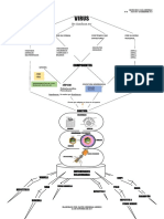 MAPA SOBRE LOS VIRUS 