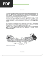 Ciudad Lineal. Análisis Ching