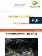 8 Sistema Lacrimal