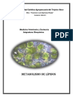 Metabolismo-de-L__pidos.pdf