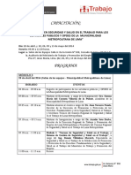 Programa Curso SST MML 28-04-2014