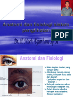 Anatomi Dan Fisiologi Penglihatan