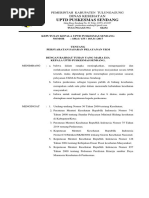 3. Sk Penetapan Sasaran Pelayanan Ukm (Yulinfix)