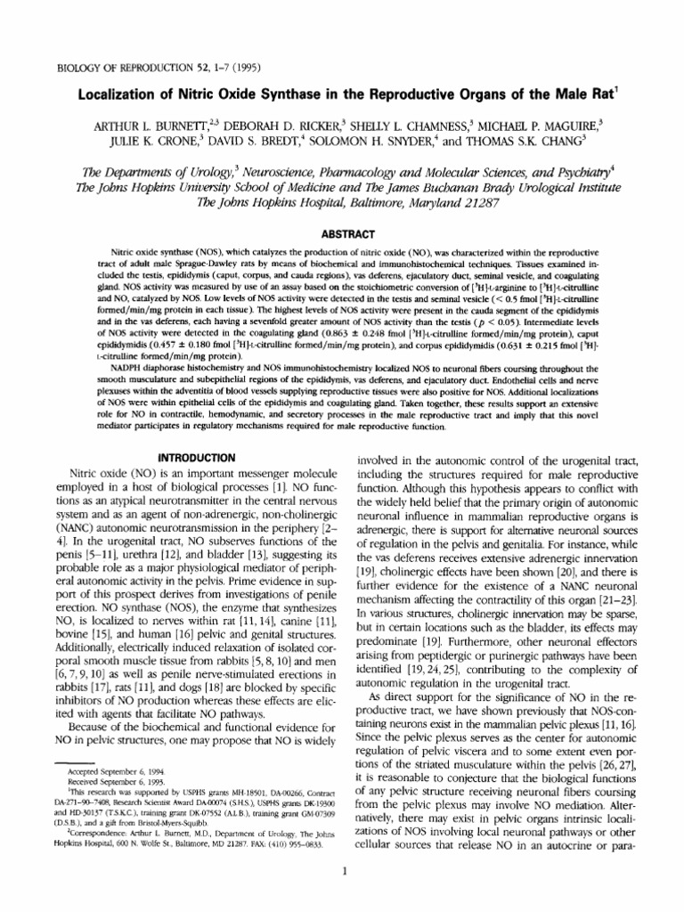 Localization of Nitric Oxide Synthase in The Reproductive Organs of The ...