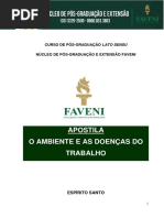 AMBIENTE E DOENÇAS DO TRABALHO.pdf