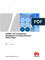 ELTE Professional Broadband Trunking Solution White Paper20130107
