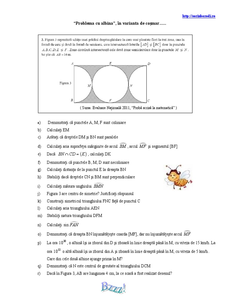 Albina - Test Matematica Gimnaziu | PDF