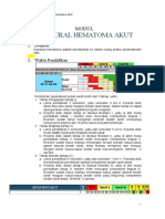 Modul_Subdural_Hematoma_Akut_.pdf