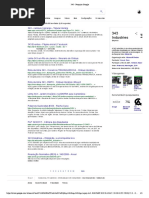 343 - Pesquisa Google