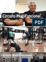 Circuito Multifuncional Resumida - Compressed Mauro Guiselini