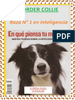 Libro Border Collie