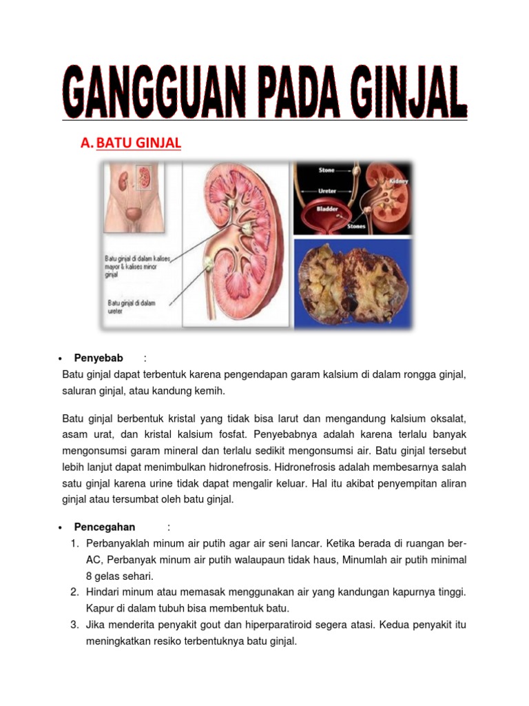 Di Dalam Rongga Ginjal Terdapat Batu Ginjal Yang Dapat Menyebabkan Cara Golden