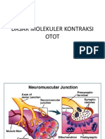 Dasar Molekuler Kontraksi Otot