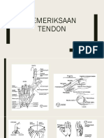 Pemeriksaan Tendon